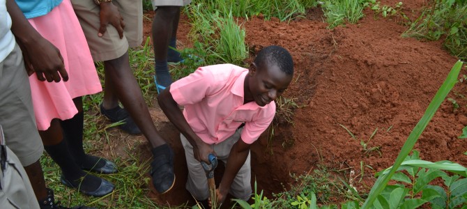 Composting Lesson