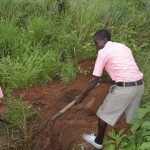 Students cover the hole with a little dirt